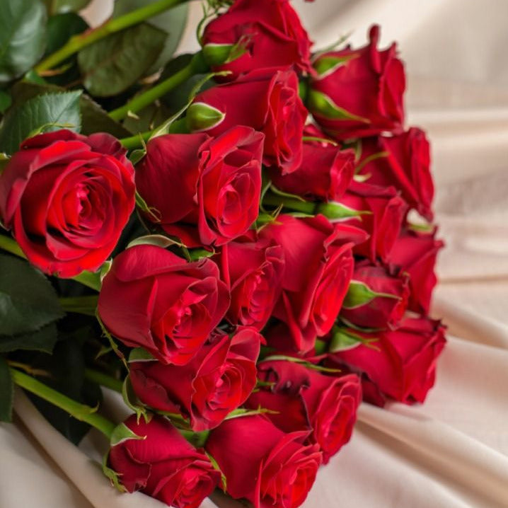 Dozen Roses